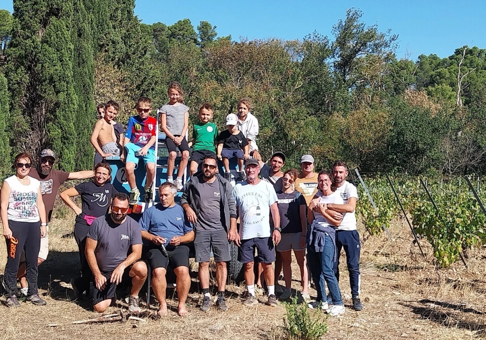2026, les vendanges du sourire