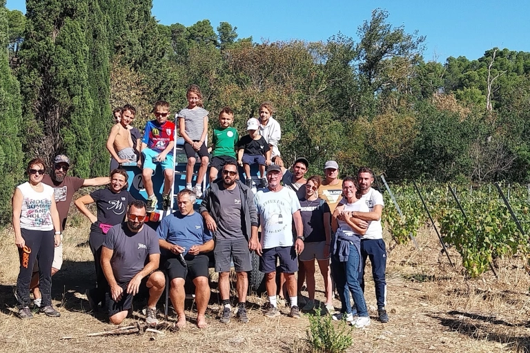 2026, les vendanges du sourire
